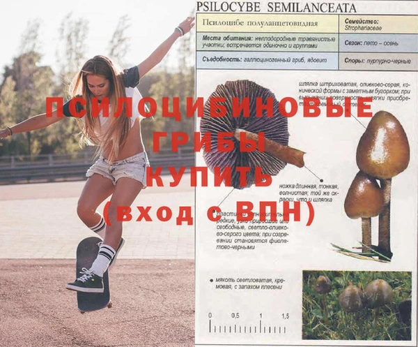 молекула духа Алексеевка