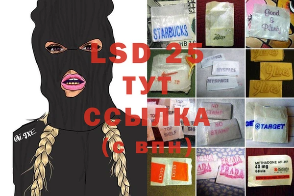 тгк Алзамай