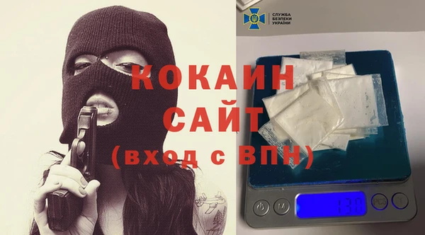 тгк Алзамай