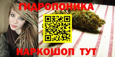 ПСИЛОЦИБИНОВЫЕ ГРИБЫ Лесосибирск