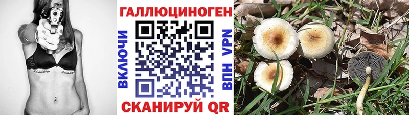 Галлюциногенные грибы мухоморы  продажа наркотиков  ОМГ ОМГ   Тайшет 
