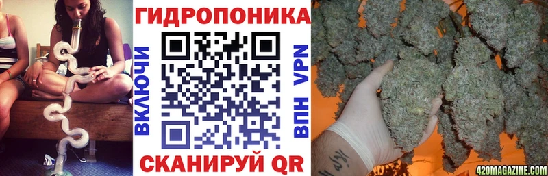 Шишки марихуана ГИДРОПОН  Тайшет 